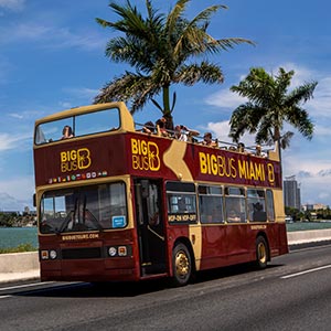 Big Bus Miami Hop-on Hop-off Discover Ticket