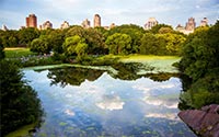 visit ny in november central-park