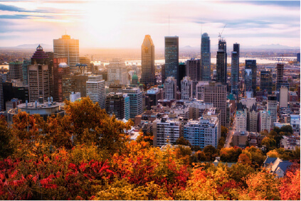 NY landscape during fall