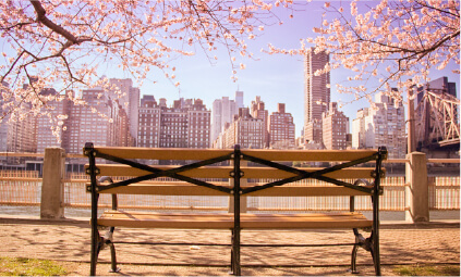 bench in park