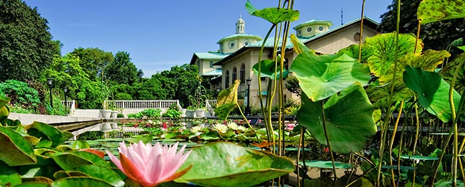 Brooklyn Botanischer Garten Freier Eintritt Mit Dem Sightseeing Pass