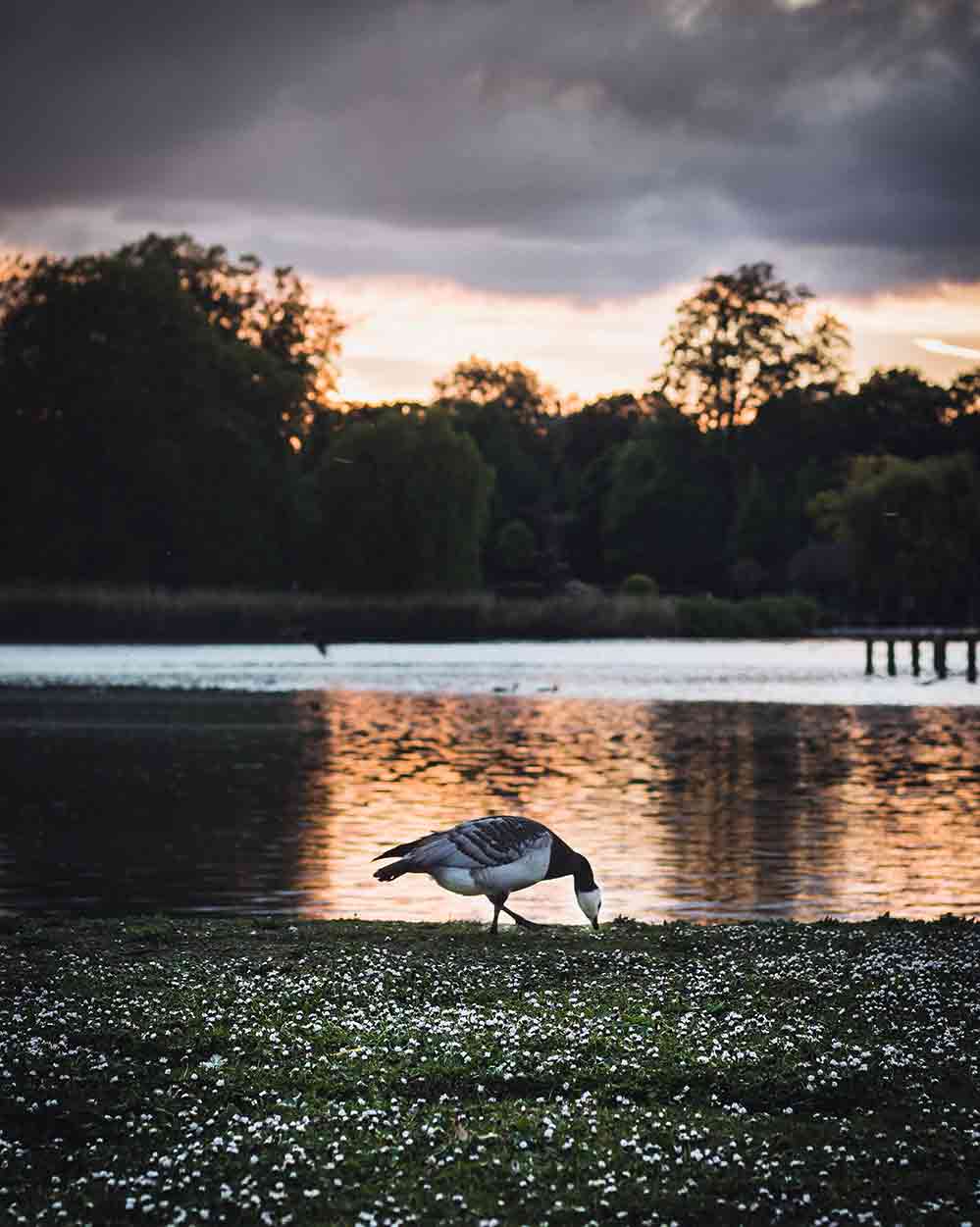 Regents Park Open Air Theatre 