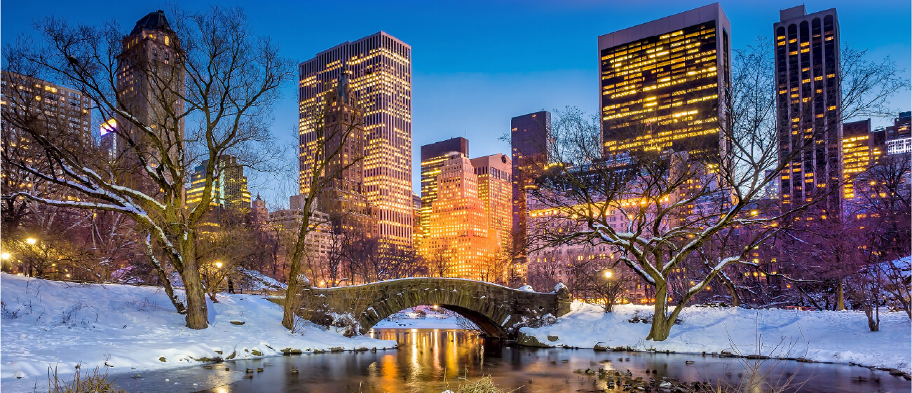 Central park with snow in winter