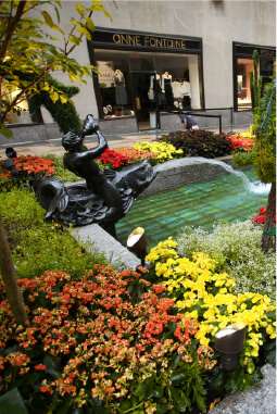 Rockefeller park
