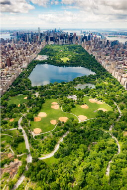 view of Central Park from above