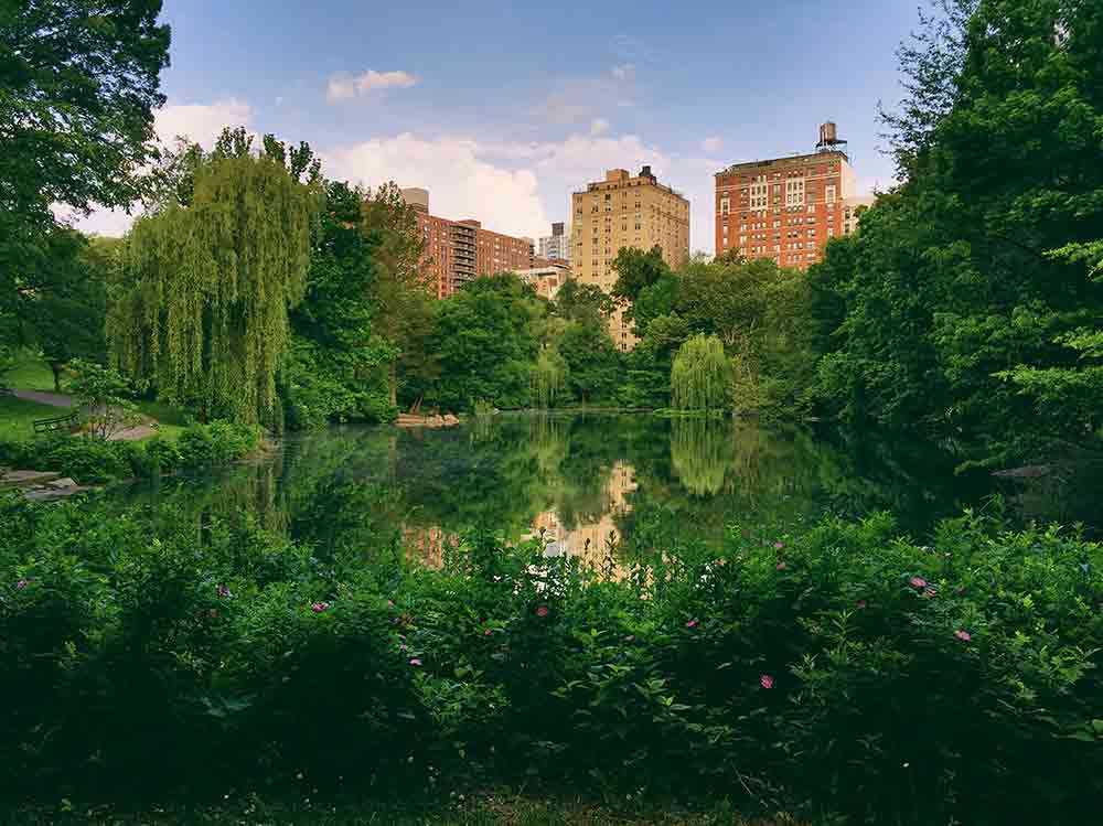 Shakespeare in Central Park