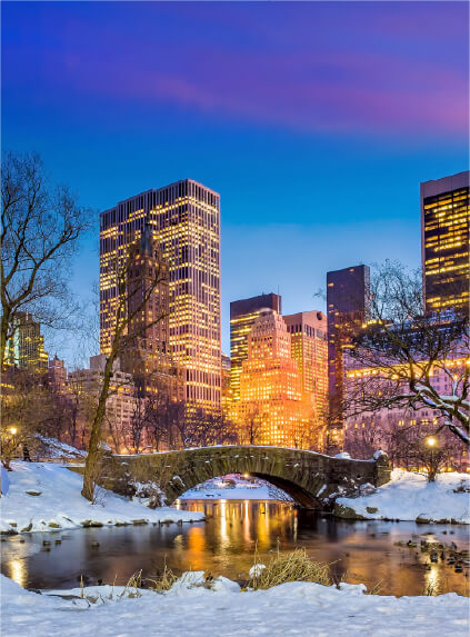 Central park with snow in winter