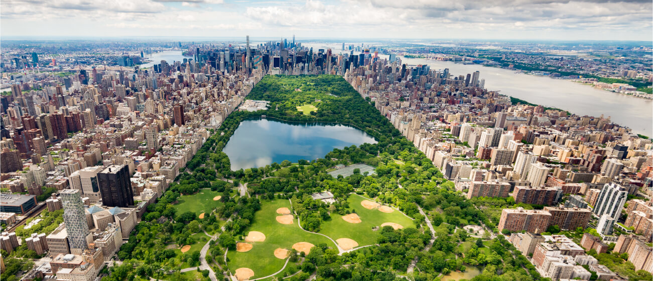 view of Central Park from above