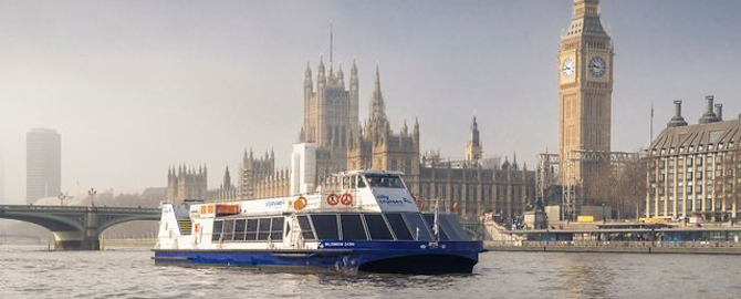 City Cruise