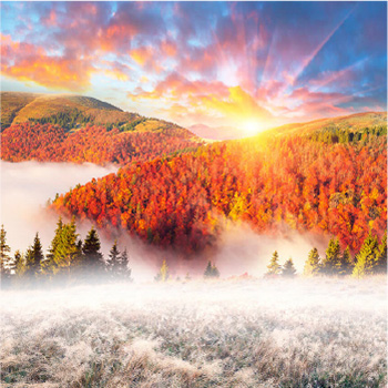 Smoky Mountains