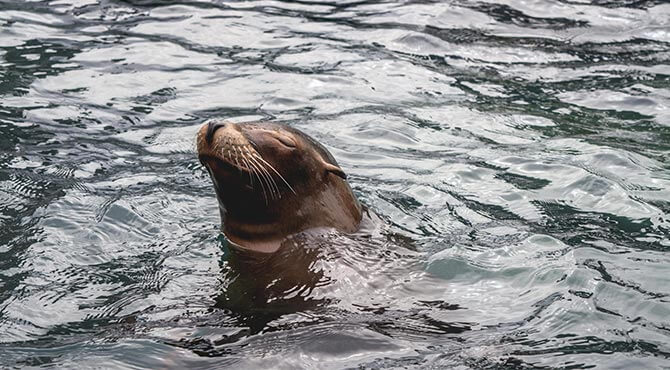 central park zoo